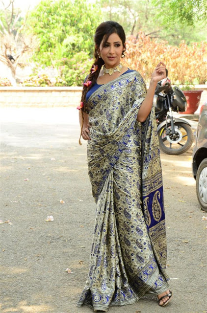 Beautiful Actress Kapilakshi Malhotra In Blue Saree 24